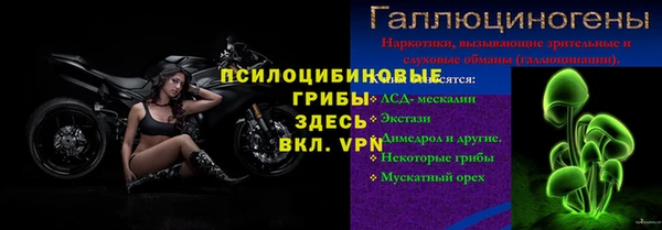 твердый Мегион