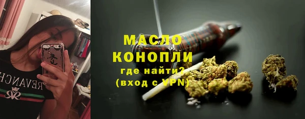 твердый Мегион
