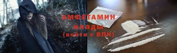 твердый Мегион