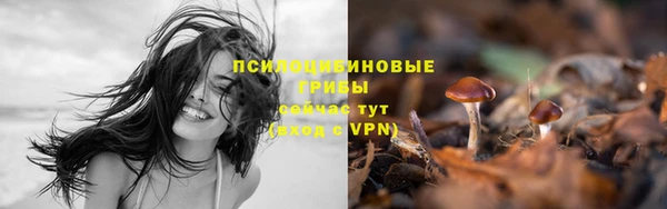 твердый Мегион