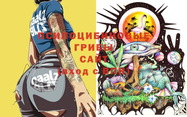 твердый Мегион