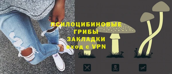 твердый Мегион