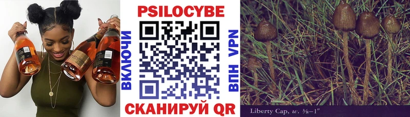 Псилоцибиновые грибы Magic Shrooms  Приволжский 
